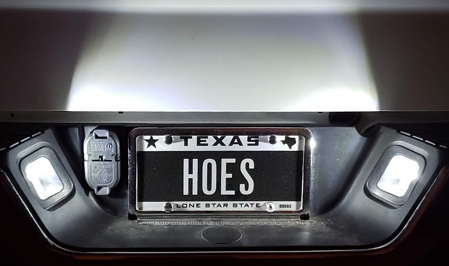The canceled Texas HOES license plate that inspired Hoes Clothes